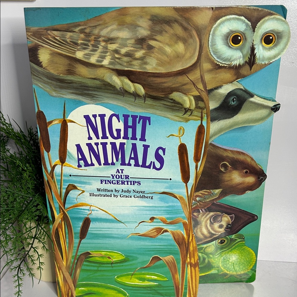 Night Animals at Your Fingertips Book Cardboard 1992